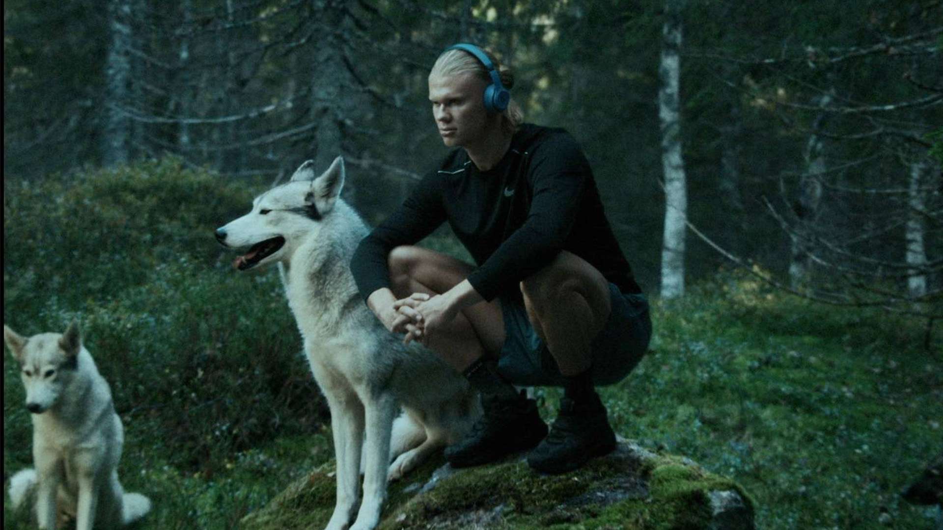 这场赛事不 这场赛事不