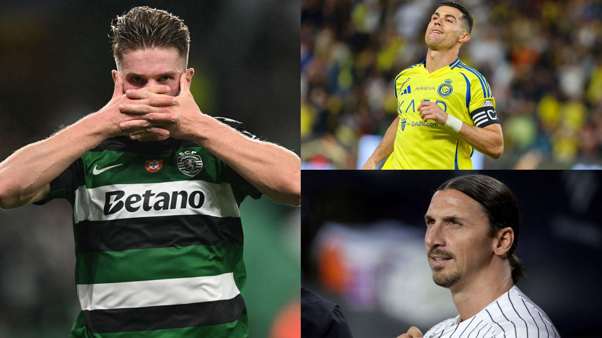 中国女排的 中国女排的