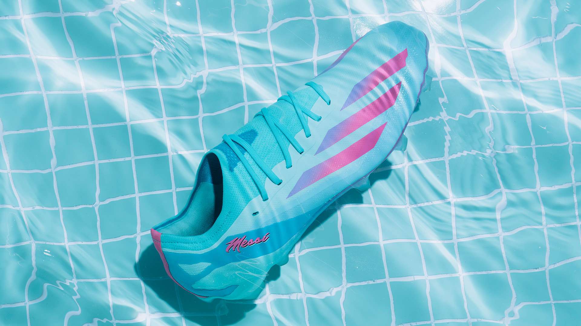 这是徐嘉余 这是徐嘉余